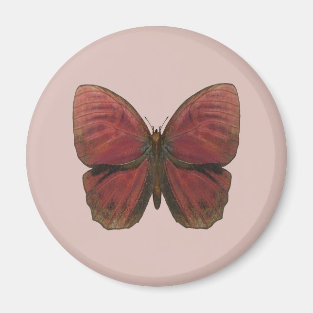 Red Rooster Butterfly Magnet (Front)