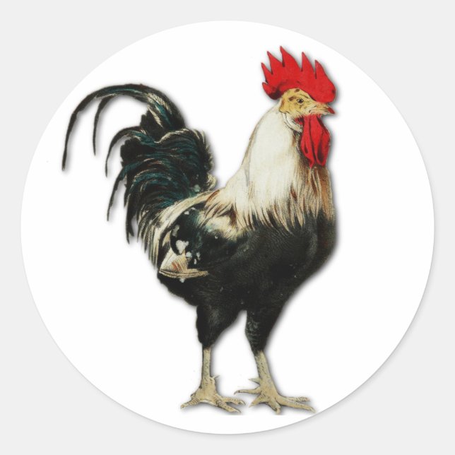 Red Rooster Chicken Customise Classic Round Sticker (Front)