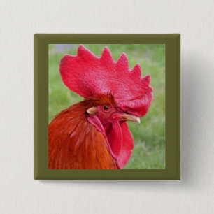 Red Rooster Coutry Living Button
