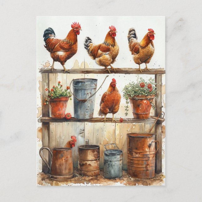 Red Roosters on Potting Bench Rusty Pails  Postcard (Front)