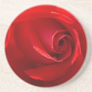 Red-Rose-3.jpg Coaster