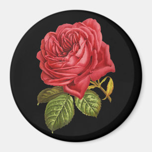 Red Rose 3" Round Magnet