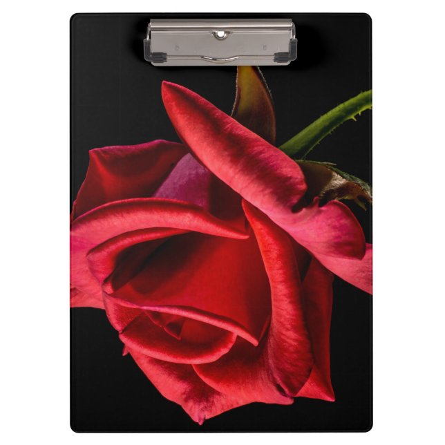 Red Rose Against Black Background Clipboard (Front)