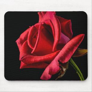 Red Rose Against Black Background Mouse Pad