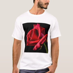 Red Rose Against Black Background T-Shirt