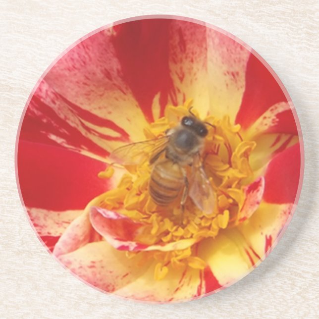 Red rose and bee coasters (Front)