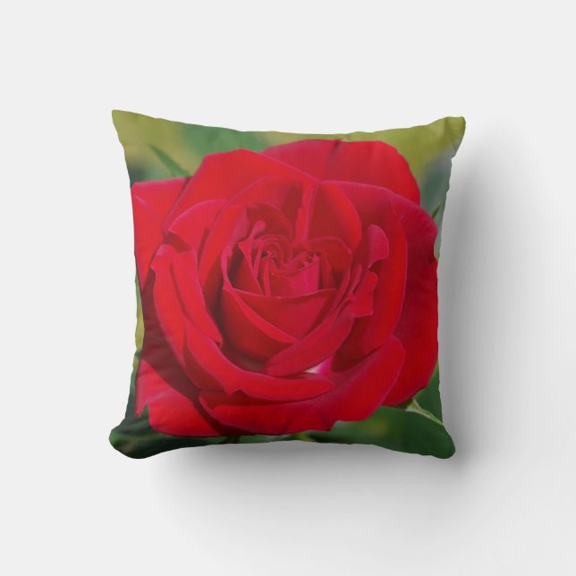 Red Rose Beauty Cushion (Front)