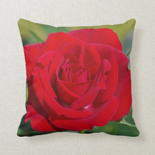Red Rose Beauty Cushion