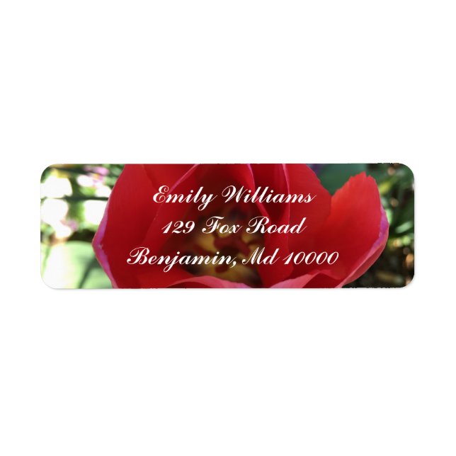 Red rose beauty return address label (Front)