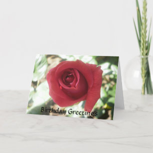 Red Rose Birthday Card