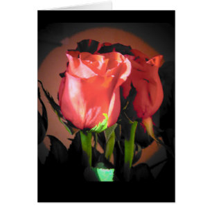 Red Rose Black Back Ground Your Text