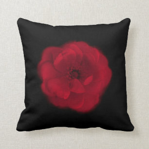 Red Rose. Black Background. Cushion