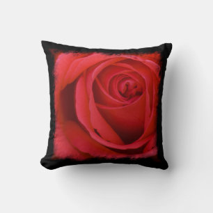 Red Rose Black Border Cushion