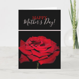 Red Rose - Black Card