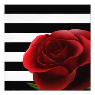 Red Rose & Black White Stripes Photo Print