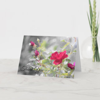 Red Rose Blooms of Summer Thank You Card