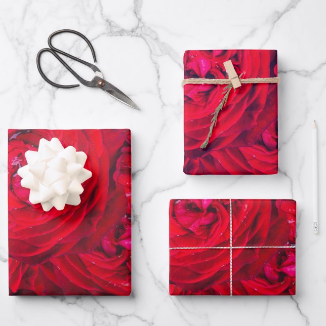Red rose blossoms with dewdrops - photography wrapping paper sheet (Front)
