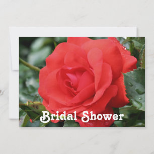 Red Rose Bridal Wedding Shower Invitation