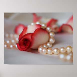 Red Rose Bud and Pearls Poster