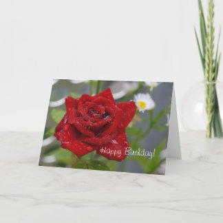 Red Rose Bud Card