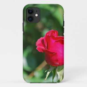 Red Rose Bud iPhone 11 Case