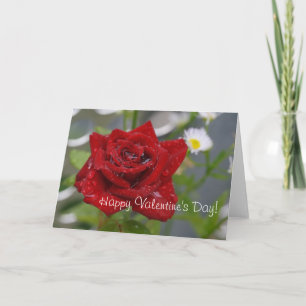 Red Rose Bud Holiday Card