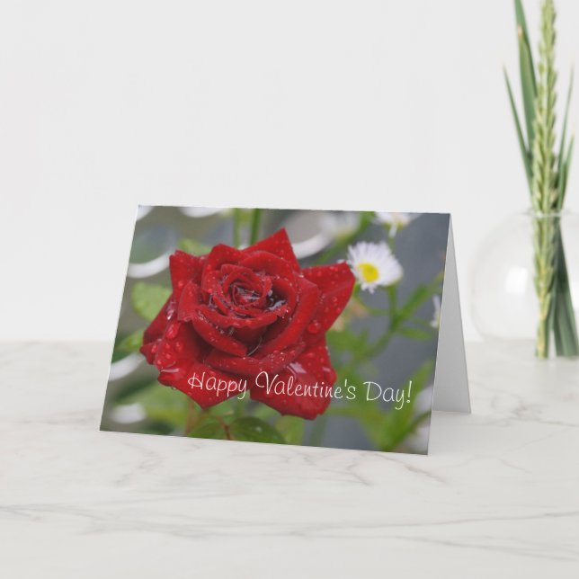Red Rose Bud Holiday Card (Front)
