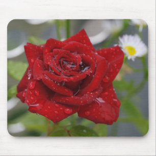 Red Rose Bud Mouse Pad
