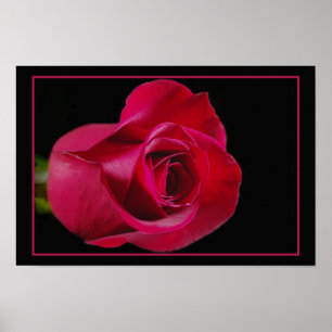 Red Rose Bud Print