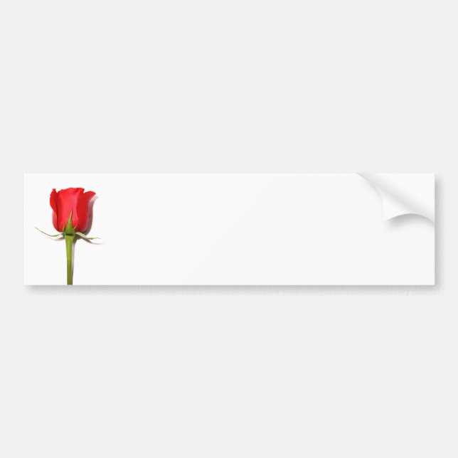 Red Rose Bumper Sticker (Front)
