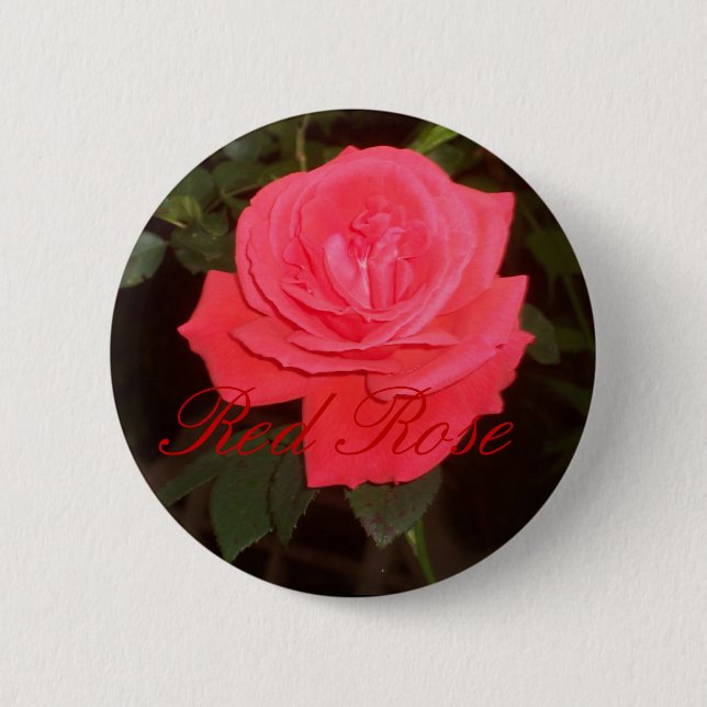 Red rose button (Front)