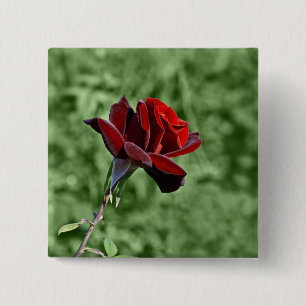 Red Rose Button