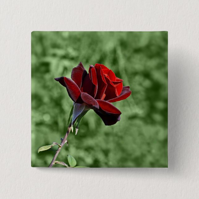 Red Rose Button (Front)