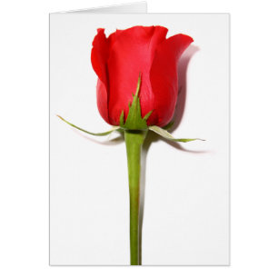 Red Rose Card