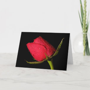 Red Rose Card