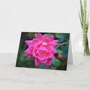 Red Rose, card
