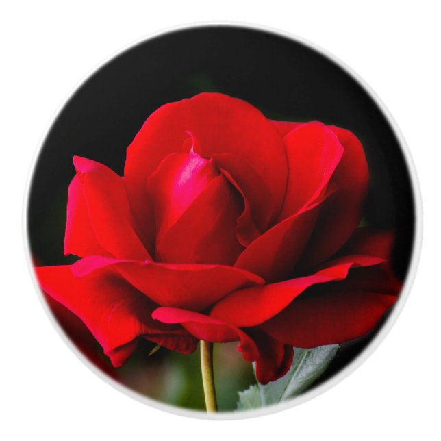 Red rose ceramic knob (Front)