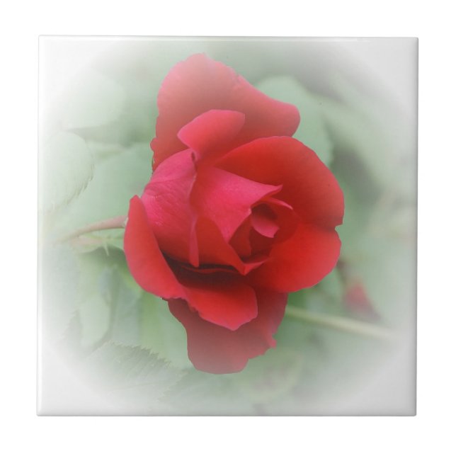 Red rose ceramic tile (Front)