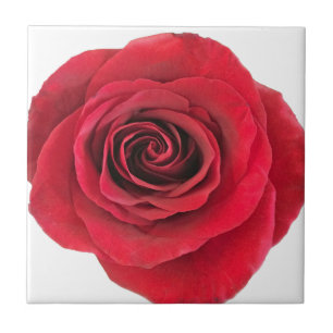 Red Rose Ceramic Tile