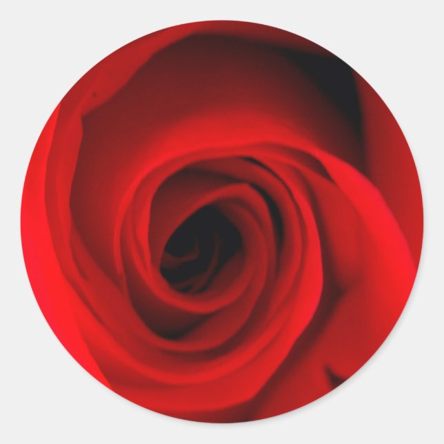 Red Rose Classic Round Sticker (Front)