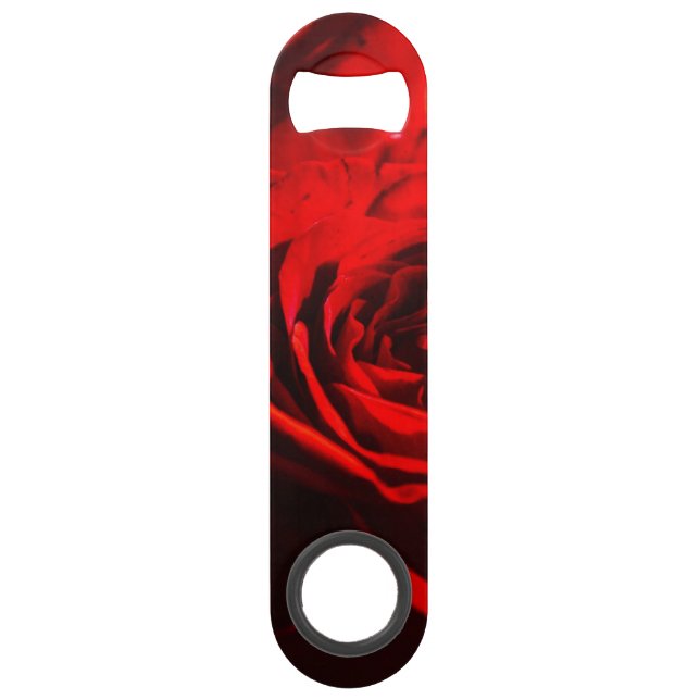 Red Rose Close Up (Front)