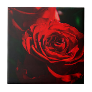 Red Rose Close Up Ceramic Tile