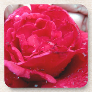 Red Rose Coaster