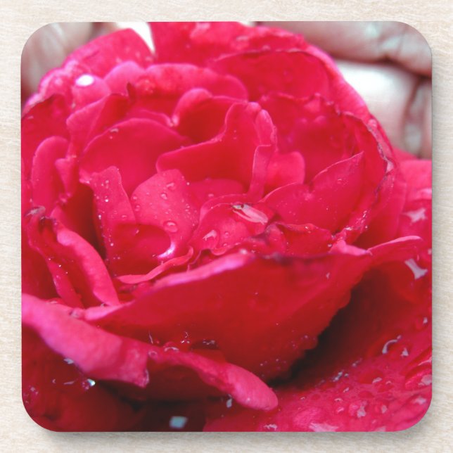 Red Rose Coaster (Front)