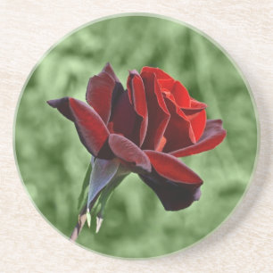 Red Rose Coaster