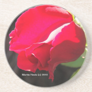 Red Rose - Coaster