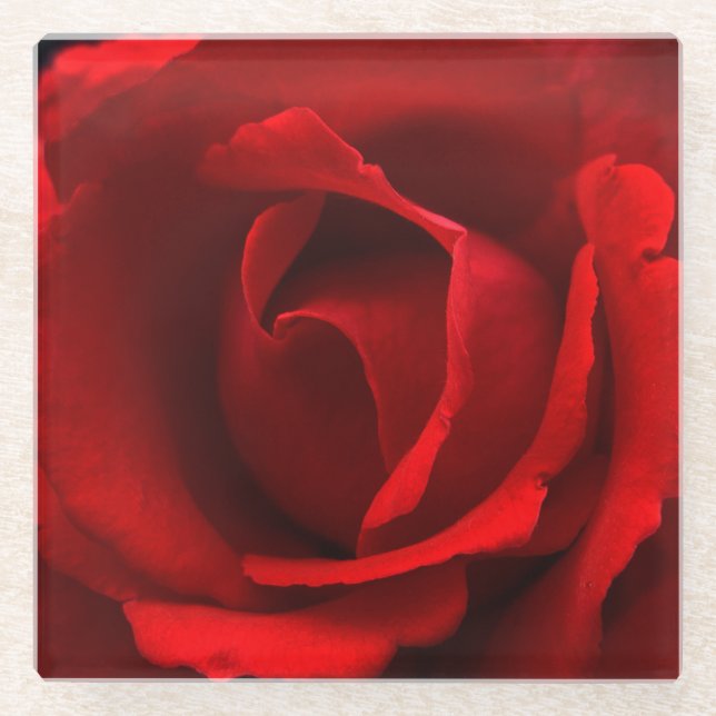 Red Rose coastercna Glass Coaster (Front)