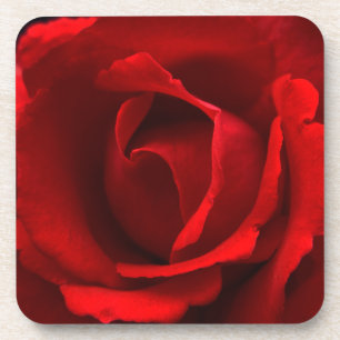 Red Rose coastercnm Coaster
