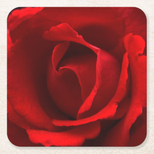Red Rose coastercnm Square Paper Coaster
