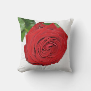 Red Rose Cushion